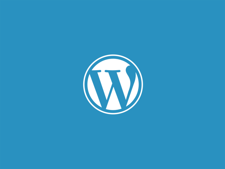 Sviluppare un progetto in WordPress: la guida