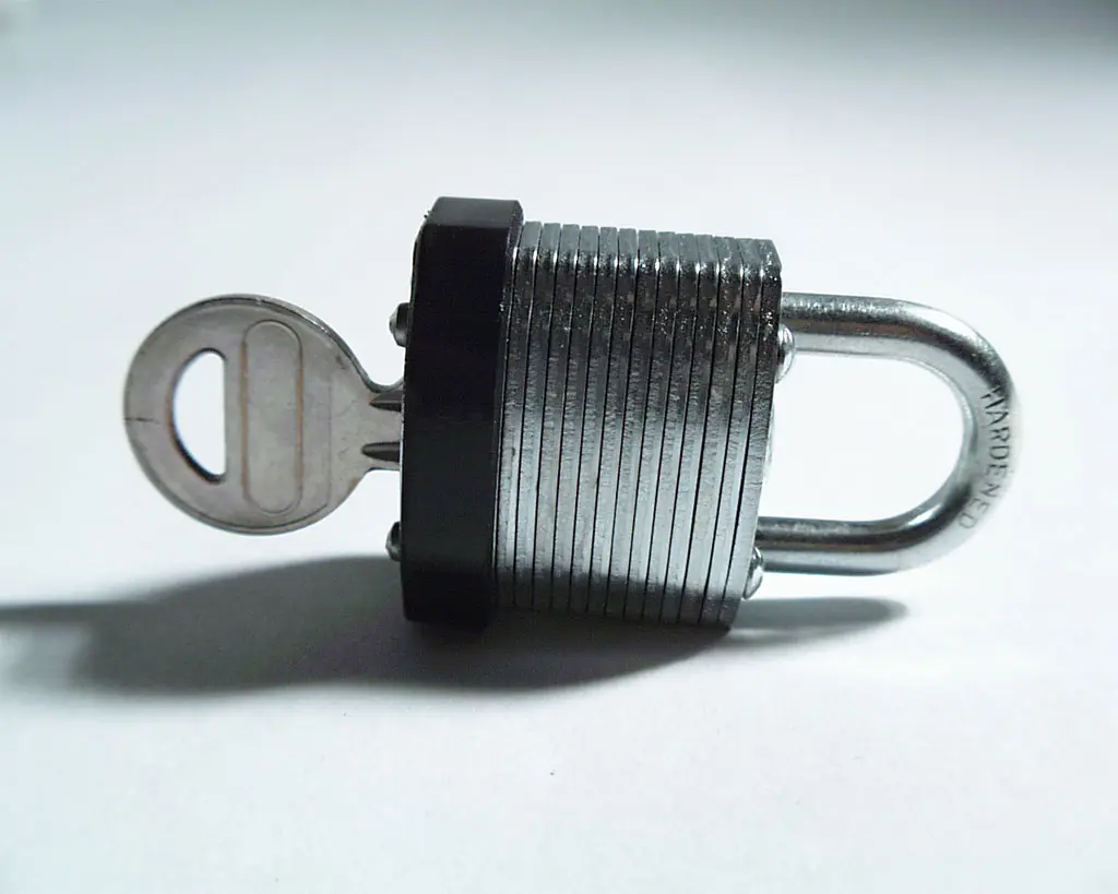 WordPress: una precauzione contro lo scraping automatico ed il furto dei contenuti