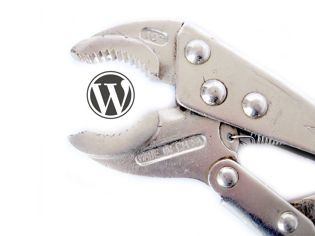 WordPress: eliminare i contenuti fittizi dopo l'installazione del tema