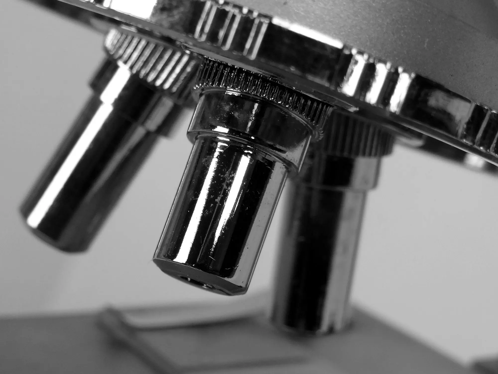 WordPress: modificare i parametri della ricerca